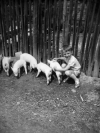 Syn Josef Snopek, 1962