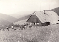 Skautování v legendární Pětce, 50. léta