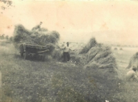 Sena na dvoře – 80. léta