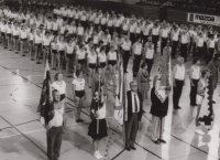 Sokolové ve Vídni, červen 1990