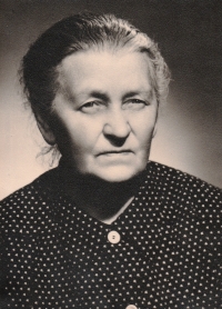 Marie Krynská rozená Hrbková, babička Petra Krynského, volyňská Češka. Narodila se 14. března 1880 v Pokřikově u Hlinska do evangelické rodiny, která na konci 19. století emigrovala na Volyň. Fotografie pochází asi z roku 1953