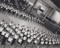 Sokolové ve Vídni, červen 1990