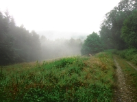 Zaniklá osada Růženec (Rosenkranz), 2014