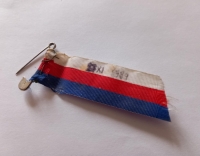 Trikolora, kterou měla Věra Pešková na generální stávce dne 27. listopadu 1989 v Praze