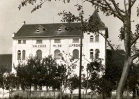 Nezdický mlýn v roce 1925