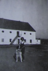 Statek Nové dvory, 40. léta f