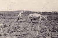 Fotografie z vojenské mise v Koreji, 1953/1954