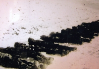 Fotografie z identifikace odbojářů zastřelených na střelnici v Bratrušově, mezi zastřelenými strýc Miroslav Jurka, 1946