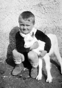 Miloslav Komárek, polovina 40. let