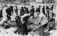 Jiří Teiftrunk s motykou vpředu, na školní brigádě