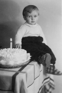 Petr Štěpánek, 1951