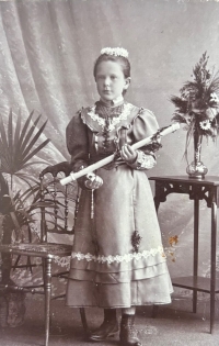 Maminka Marie u svatého přijímání, Schönelinde – Krásná Lípa