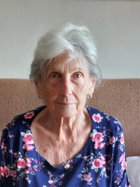 Věra Vašků v roce 2025