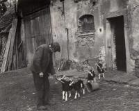 Dědeček Marie Petrové na dvoře v Dolních Kralovicích 