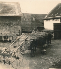 Hospodářství v době dětství Jaroslava Jirmuse