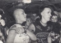 Jana Bečková Petrovická, 80. léta