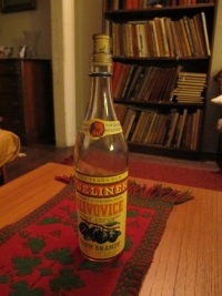 Slavná slivovice