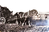 Fotografie zachycující práci na poli