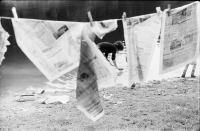 Proprání denního tisku, 1979