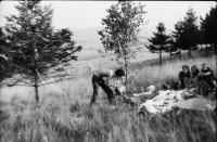 Svatba smrku s břízou, 1982