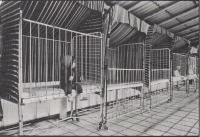 Fotografie z knihy Dílna '88 Ašsko. Foto: Jan Schýbal z cyklu Dětský domov