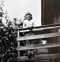 Lenka M. Demartini (70. léta)