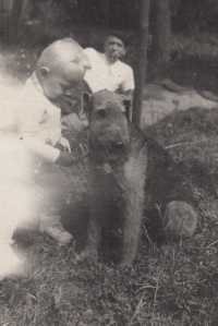Malý Jindřich se psím strážcem Abdulem v roce 1952