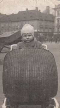 Malý Jindřich v košatině na plzeňském náměstí v roce 1951
