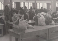 Odsun Němců z Novojičínska