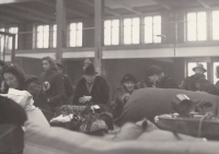 Odsun Němců z Novojičínska