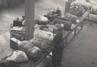 Odsun Němců z Novojičínska