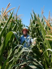 Milan Hluchý při zakládání pokusu v Cairle (Itálie) 