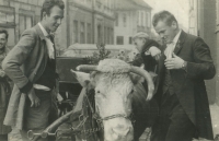 Svatba Jany a Rolanda Güntherových, kamarádi, Náchod 1963