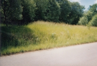 Místo, kde stál dům rodiny Holubových, Doupov