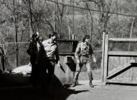 David Aust Vedral, 80. léta