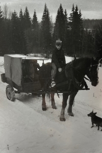 Národní finále Sokol, závod branné zdatnosti