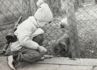 David Aust Vedral, 70. léta