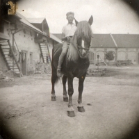 Štamfest Josef mladší