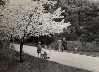 Ivanka Fišerová ve Stromovce, 1953 (foto otec)