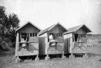 Experiment zemědělského družstva Bušovice z 50. let nazvaný vzdušný odchov telat