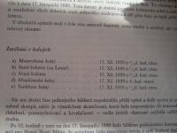 Zatýkání na kolejích