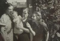 Archiv Jany Honsové