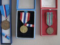 Medals and badges of honor for WW II partisanship