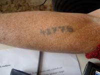 Číslo z koncentračního tábora