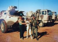 Mládě velblouda, který zahynul při válce v Zálivu