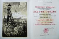 Diplom - Vzorný pracovník Ministerstva pracovních sil