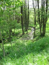 Trasa převodu - Liščí potok