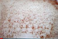 Fotografie vojáků z 1. světové války mezi kterými je otec Jan Fochler