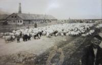 Letiště v Telavi v Gruzii - v pozadí budova v nichž byli vojáci ubytovaní