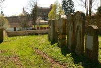 židovský hřbotov, Nová Cerekev